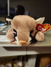 TY Beanie Babies CANYON The Cougar 1998
