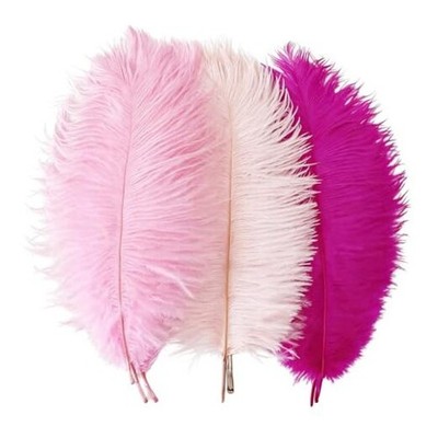 9PCS Hot Pink Ostrich Feathers Natural Bulk 10-12Inch Feather for Hot Pink Mixd