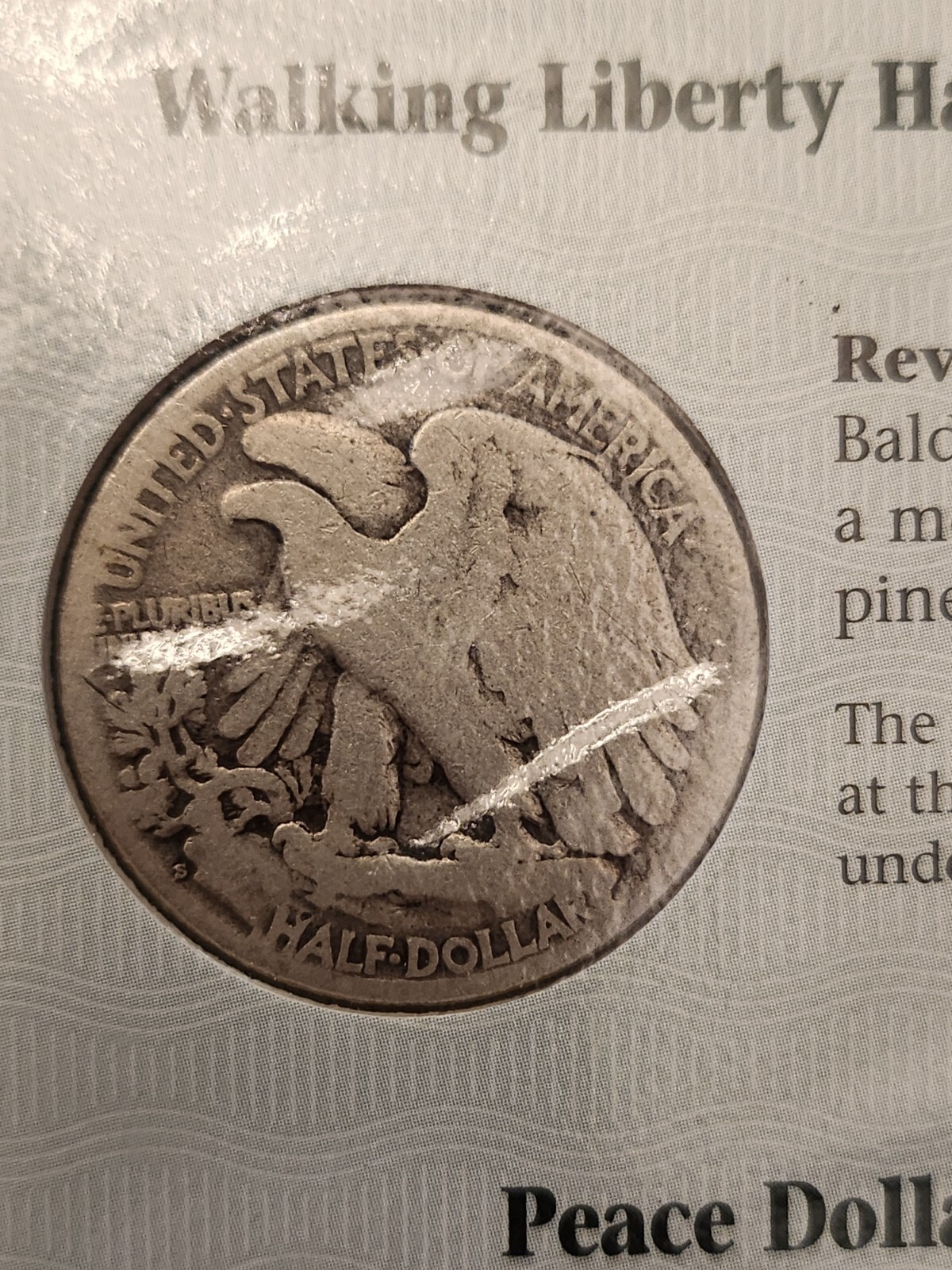 Picture 16 of 24