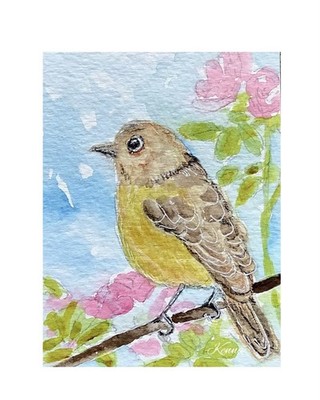 ACEO By Kenna Original Watercolour Painting Bird 2.5  X 3.5  Signed ÀTC
