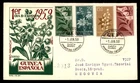 Mayfairstamps Spanish Guinea FDC 1959 Flowers and Berries First Day Cover aaz_12