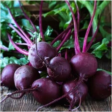 Beet Seeds Early Wonder Tall Top 100 Ct Vegetable Garden NON-GMO FREE SHIPPING