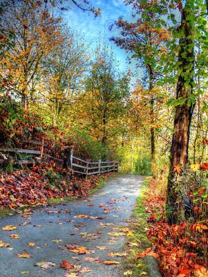 NATURE LANDSCAPE CULTURAL FOREST PATH ROAD TREE POSTER ART PRINT PICTURE BB1422B