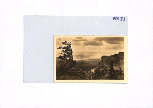 GERMANY HINDENBURG ZEPPELIN Air Mail Card OLYMPIAFAHRT 1936 Olympics LZ229 - Picture 6 of 12