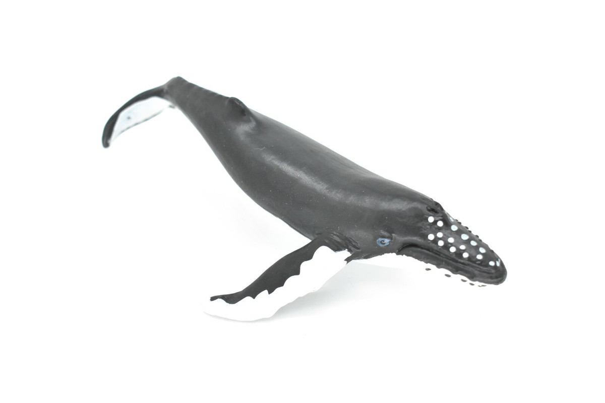 Humpback Whale, Realistic Toy Model Plastic Replica Animal, Kids