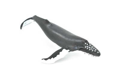 Humpback Whale, Realistic Toy Model Plastic Replica Animal, Kids