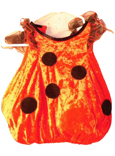 Halloween Childs Lady Bug Vest Costume Head Set Red Size 1-2 yrs - Picture 3 of 16