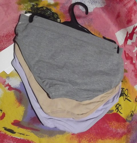 3 NEW DAISY FUENTES DF4797A 4 MICROFIBER SEAMLES HIPSTER PANTIES S - Picture 2 of 2