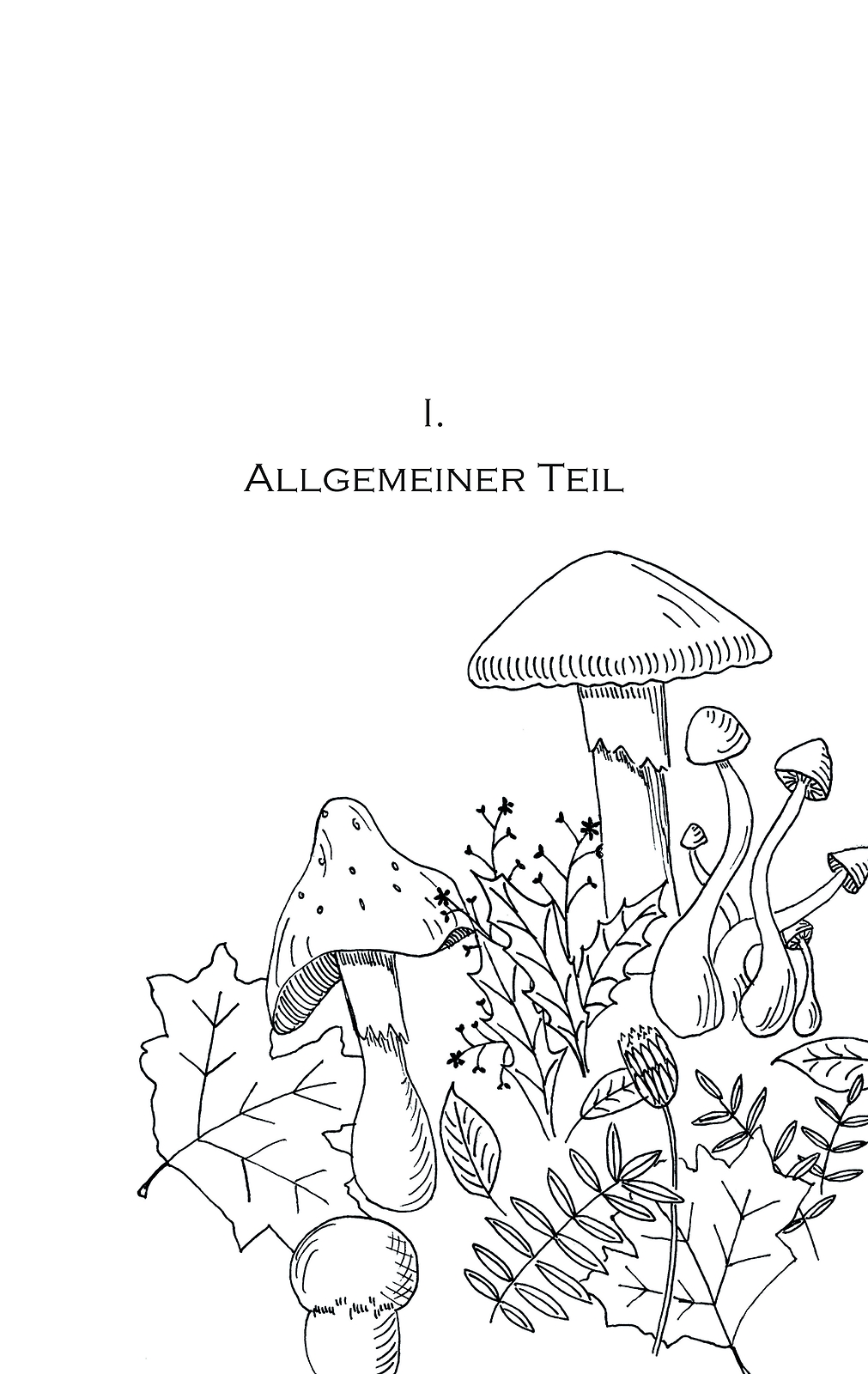 Thumbnail - Pilzkochbuch Von 1917 Emil Herrmann