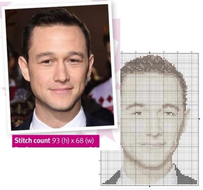 JOSEPH GORDON-LEVITT  CROSS STITCH PATTERN ONLY    EK - RRR