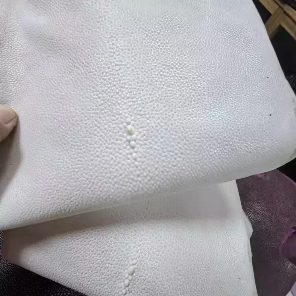 Piel de pez raya real de 7 pulgadas piel cruda embrión piel de pez translúcida cuero blanco Foto 2 de 4