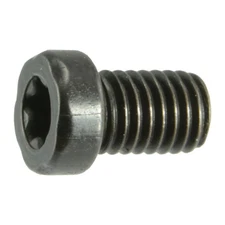 #8-40 x 1/4" Black Oxide T-15 Fillister Head Star Drive Gun Screws (10 pcs.)