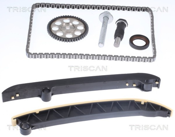 Steuerkettensatz Triscan 8650 29024 FüR VW Golf 6 5K1 Caddy 3 GroßRaumlimousine-image