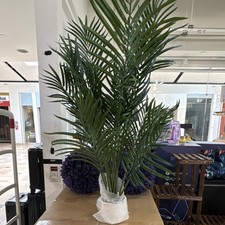 Artificial Palm Tree Green Plastic Houseplant Decorative Tropical Decor 4ft tall