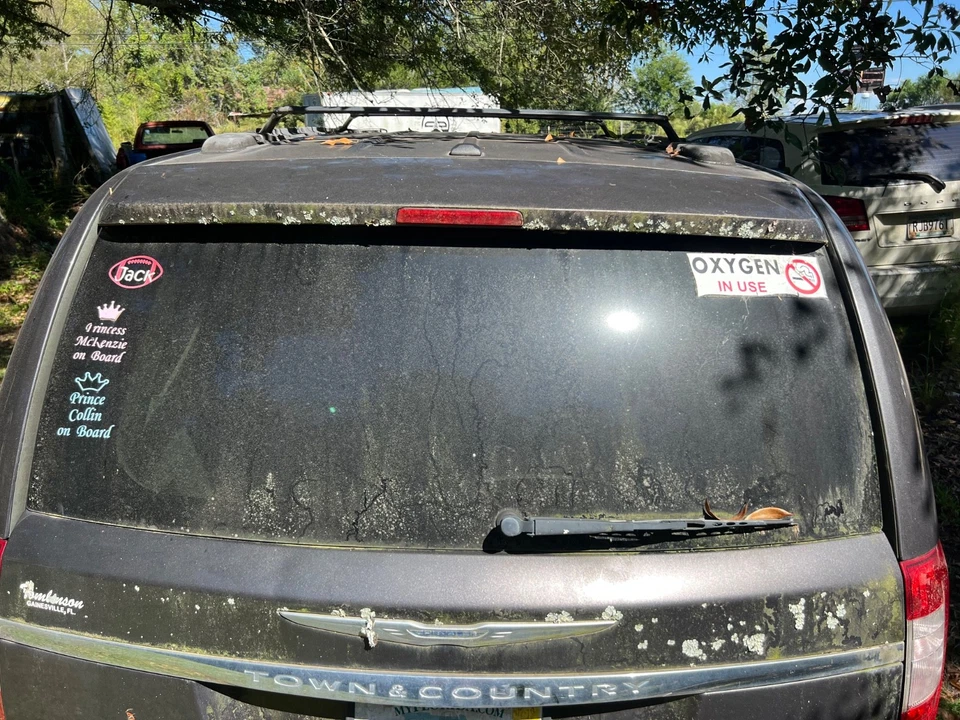 Chrysler Town & Country 2011-2016 OEM maletero trasero tapa elevadora montaje carcasa PXJ Foto 2 de 4