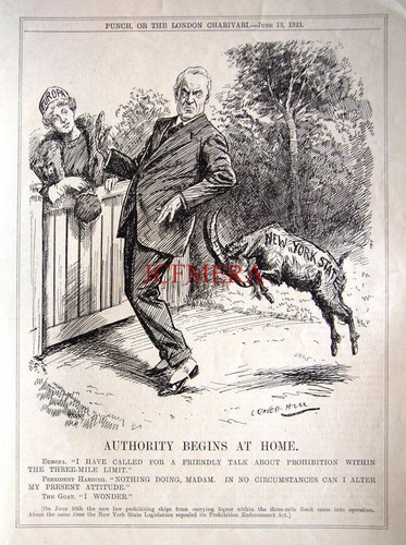 'Authority Begins at Home' Pres. Harding Punch Cartoon - 1923 Prohibition Print