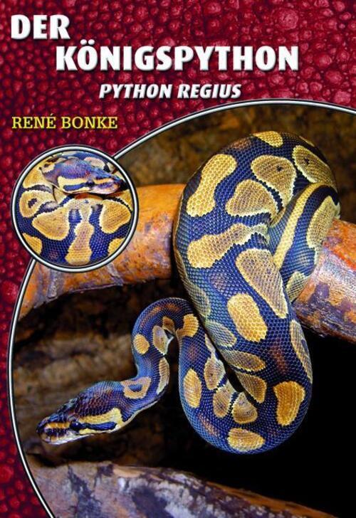 Königspython | Python Regius | René Bonke | Taschenbuch | Art Für Art