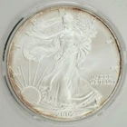 2002 American Silver Eagle 1 Troy Oz .999 Fine Silver Brilliant Uncirculated