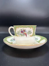 Aynsley England Bone China Teacup and Saucer Tropical Birds Vintage Rare 