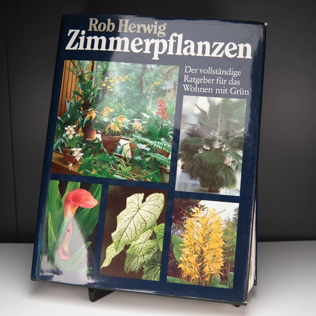 Zimmerpflanzen Buch online kaufen | eBay.de