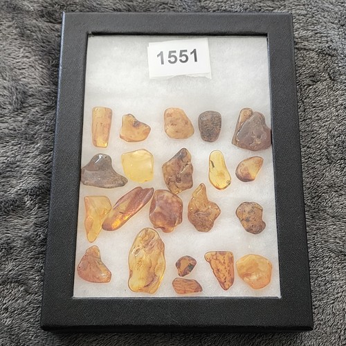 KCGS 20-teilige Sammlung authentischer litauischer Ostseebernstein in Glaskiste - Bild 33 von 34