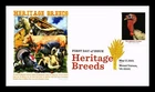 DR JIM STAMPS US COVER NARRAGANSETT TURKEY HERITAGE BREEDS IMPERFORATE FDC PANDA