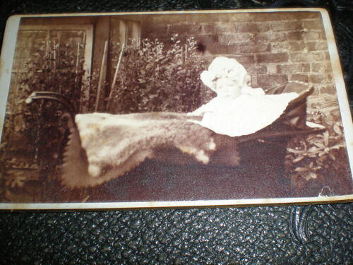 CDV Old Photograph baby in pram with fur blanket  c1880s - Afbeelding 1 van 1