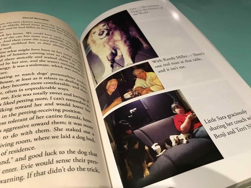 The Puppy Express On The Road With 25 Rescue Dogs David Rosenfelt book - Picture 4 of 5