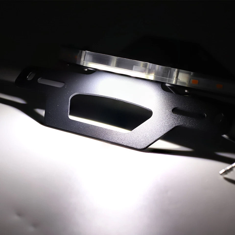 Para YAMAHA YZF R1/R1M/R1S Eliminador de guardabarros Soporte de matrícula LED Señal de giro Foto 4 de 4