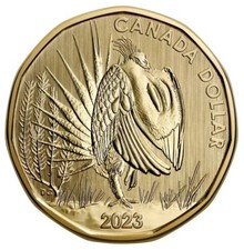 Canada 2023 - Sage-Grouse - Specimen Loonie!!