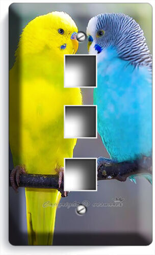 LOVE BIRDS GIALLO BLU PARROCCHETTI INTERRUTTORE LUCE PRESA PIASTRA PARETE PAPPAGALLO ARTE DECORAZIONE - Foto 22 di 35