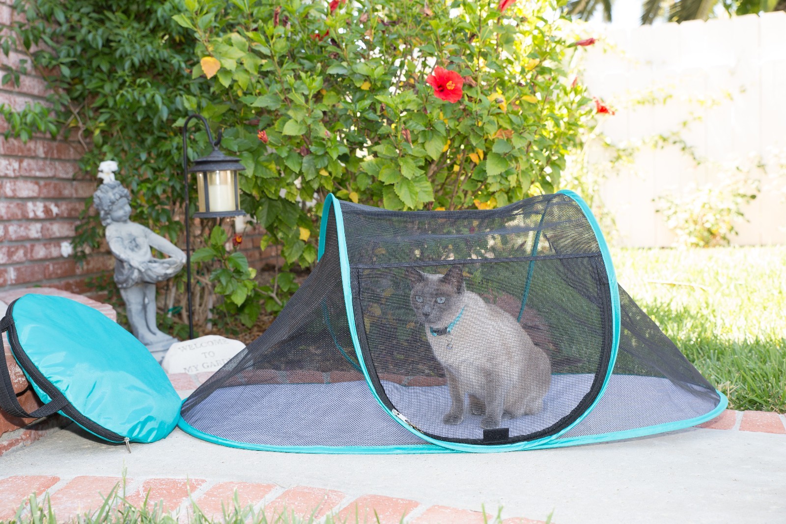 catio tent
