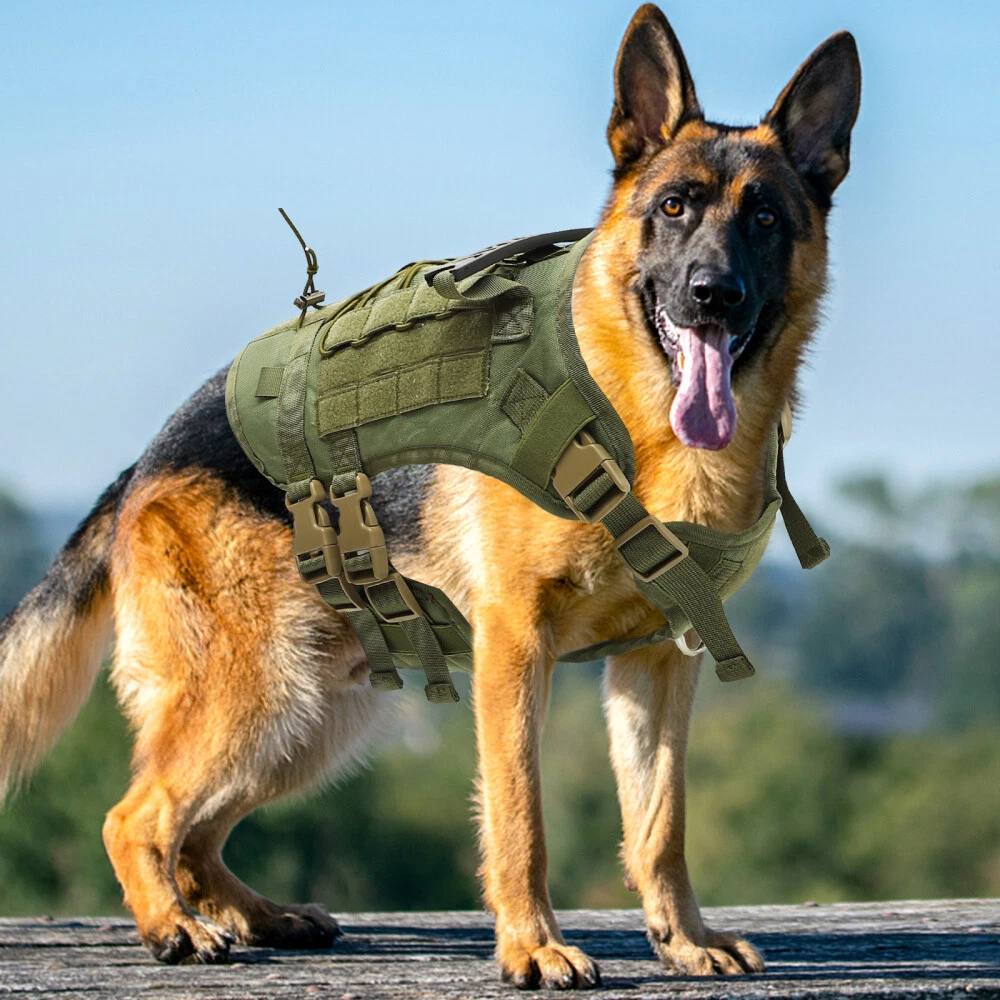 Dog Harness German Shepherd Eye-catching