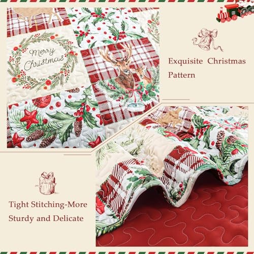 Trapunta Natalizia Taglia, Copriletto Patchwork Rosso Ruggine King Patchwork Rosso - Foto 4 di 6