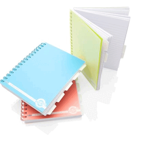 A4/A5 Project Book Wiro Refill Pad with Subject Dividers Ruled Punched Pages 250 - Picture 15 of 21