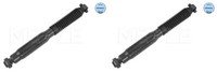 Meyle StoßDäMpfer Hinten FüR Citroen C3 Picasso Peugeot 207 CC SW