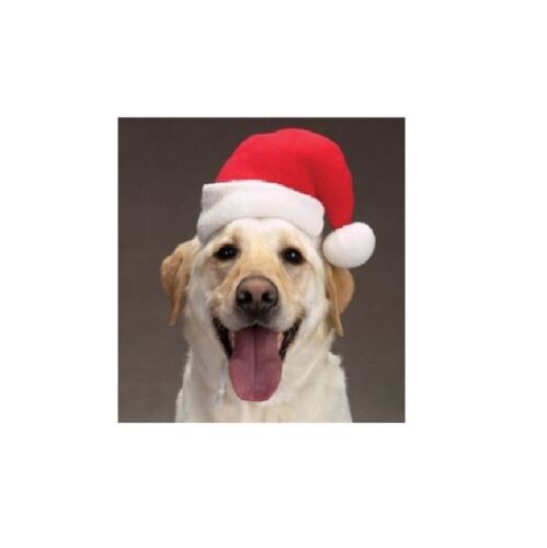 Holiday Santa Hat for Dogs & Cats - S - M - L - holiday photos CLASSIC - Afbeelding 1 van 6
