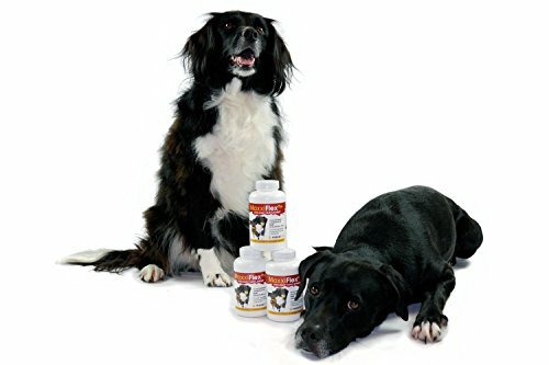 maxxiflex dog joint supplement
