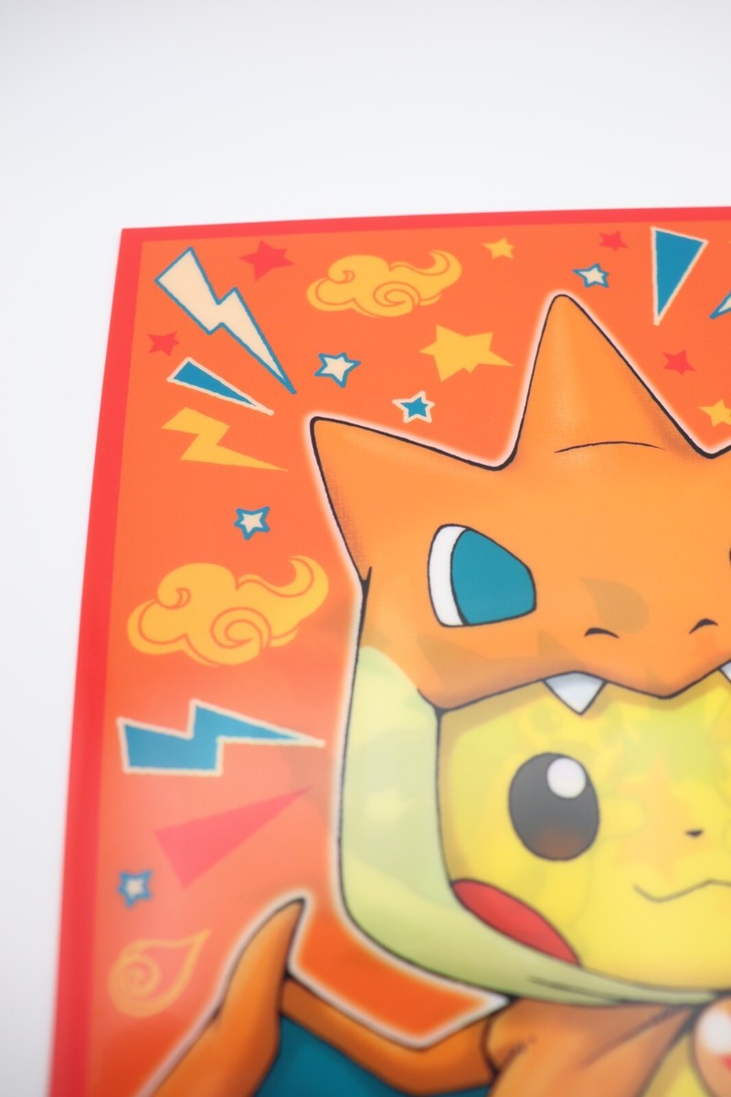 Pikachu Mega Charizard Poncho Pokemon Center Clear File A4