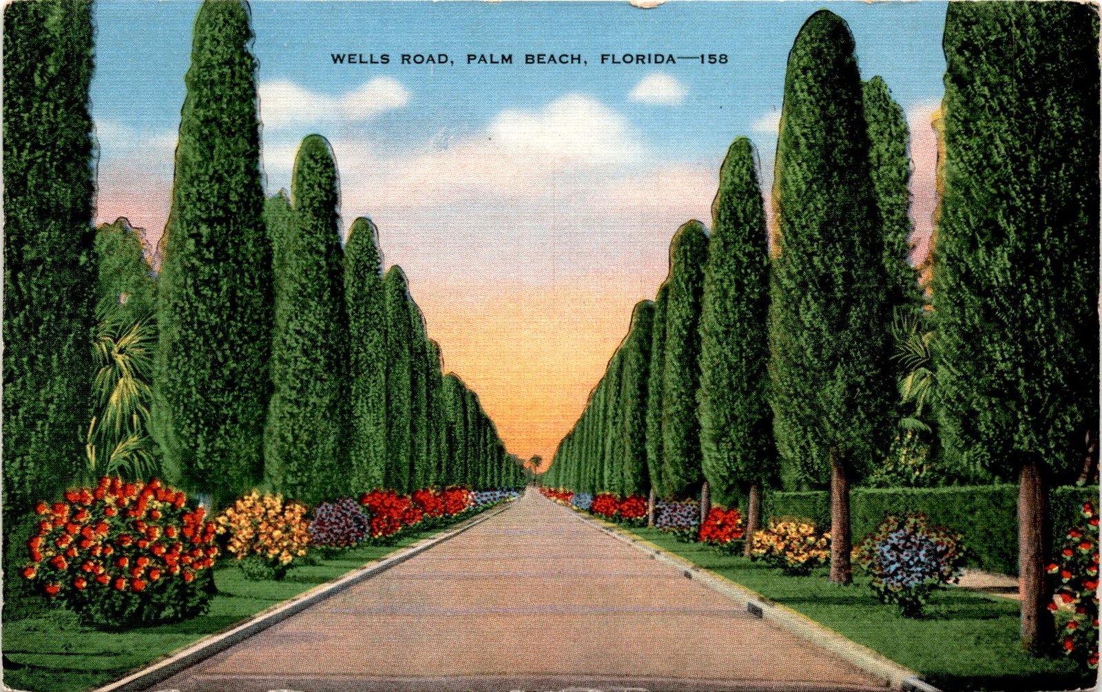 WELLS ROAD, PALM BEACH, FLORIDA, Australian Pines, Developed since Postcard