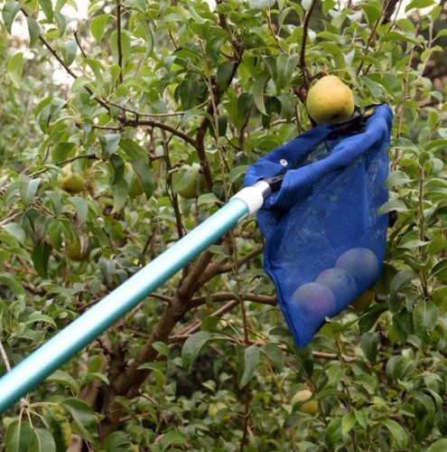 Clip N Pick Fruit Picker (Head Only)
