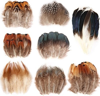 240Pcs Mix Colour Eight Style Spotted Small Natural Bulk Feathers 2-6 Inches for