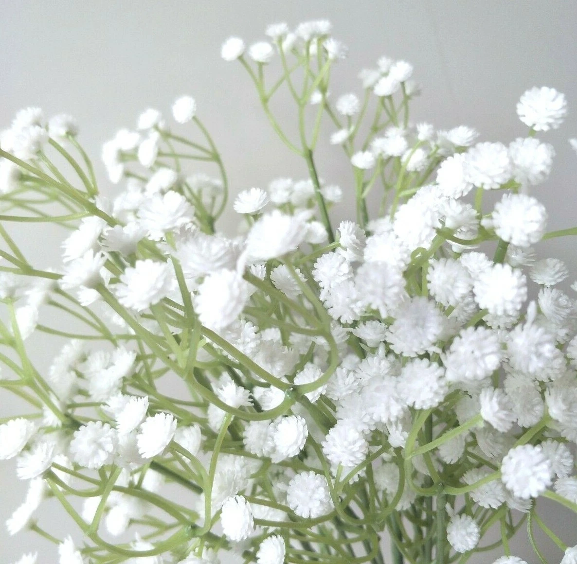 Baby S Breath Flowers Melbourne Best Flower Site