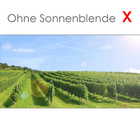 Bild 8 von 8
