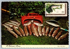 #1427 Wildlife Conservation Trout Maxi Card
