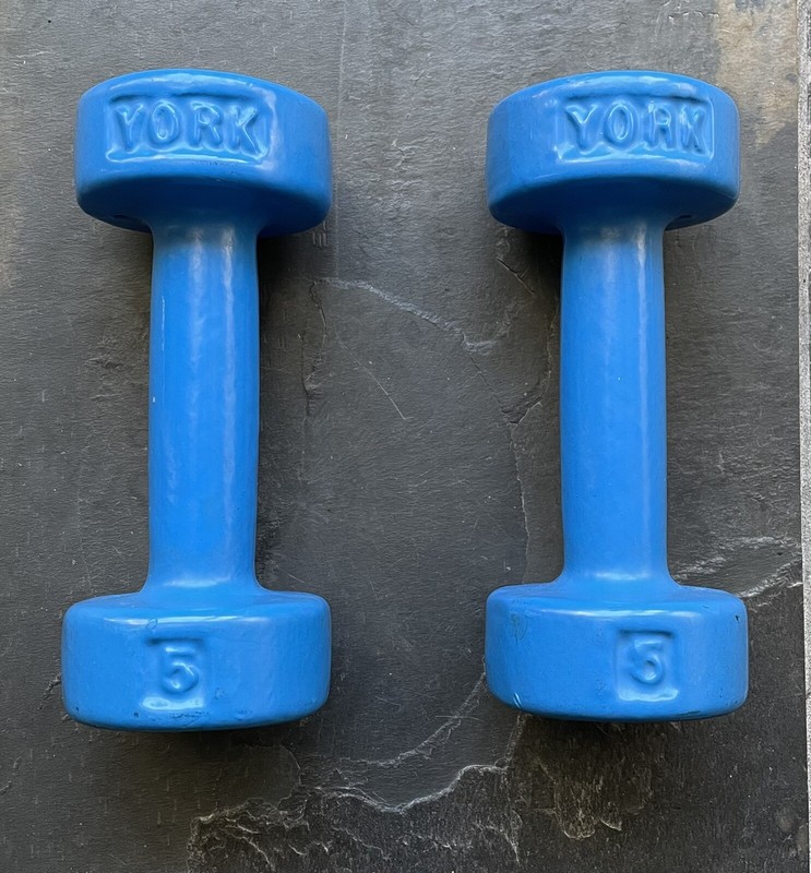Pair of York 5 Pound Dumbells - Vynil Coated Iron
