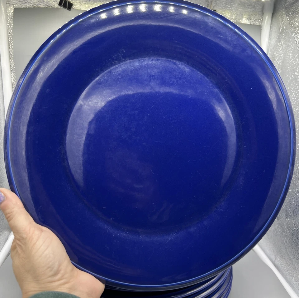 RARO Discontinuar 8 SUR LA TABLE Gres Diario Azul Cobalto 11" Platos Portugal Foto 2 de 4