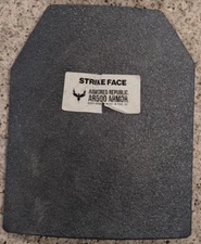 Plate Carrier with AR 500 Level 3 10x12 plates. lifetime warranty