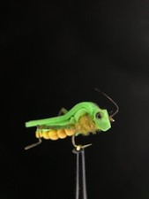 Ultra realistic grasshopper fly
