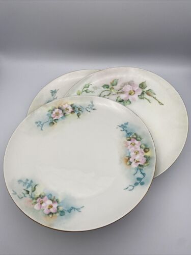 3 Hutschenreuther Selb Plates Bavaria Hand Painted Floral Vintage Porcelain - Picture 2 of 12